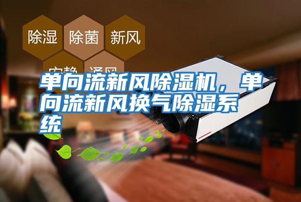 单向流新风除湿机，单向流新风换气除湿系统