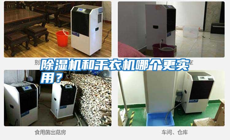 除湿机和干衣机哪个更实用？