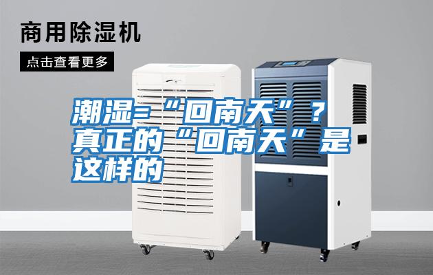 潮湿=“回南天”？ 真正的“回南天”是这样的
