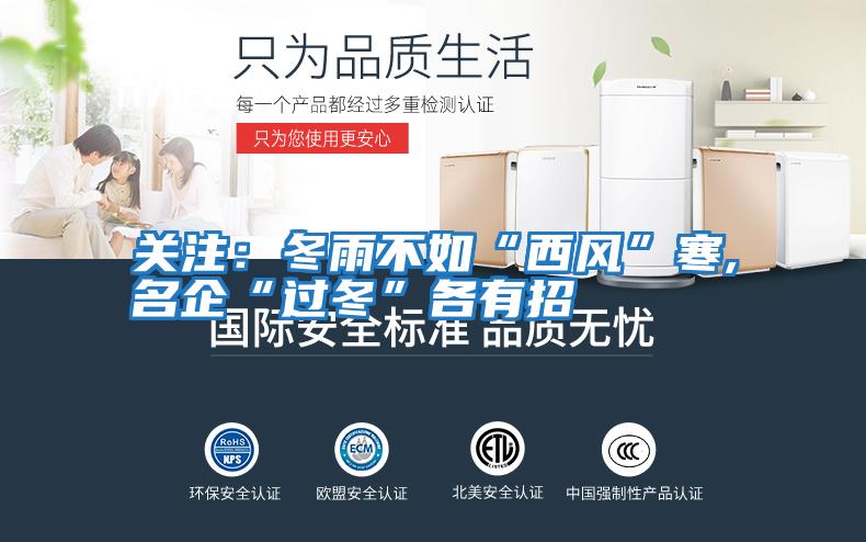 关注：冬雨不如“西风”寒,名企“过冬”各有招