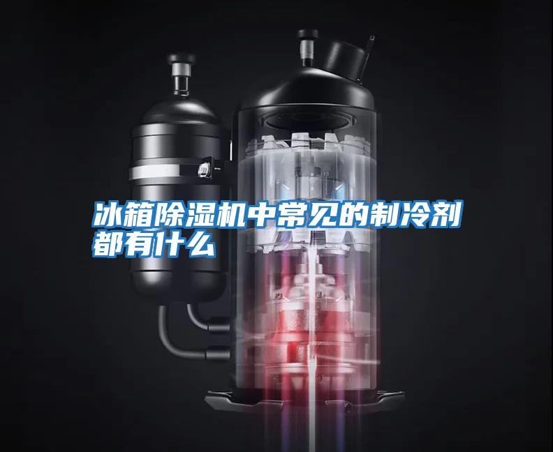 冰箱除湿机中常见的制冷剂都有什么