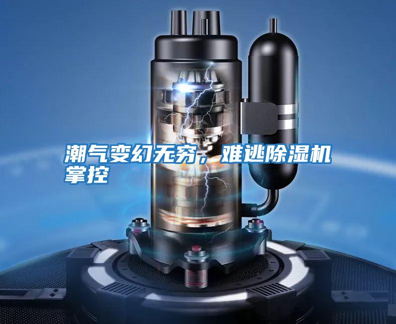 潮气变幻无穷，难逃除湿机掌控