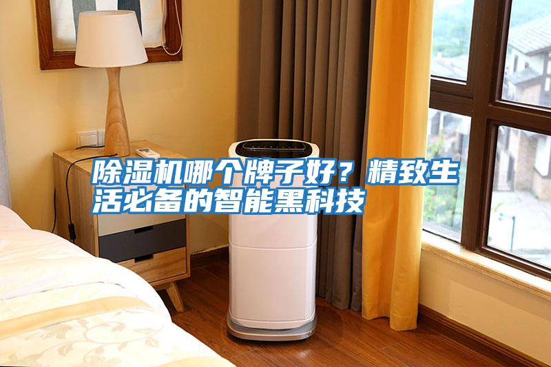 除湿机哪个牌子好？精致生活必备的智能黑科技