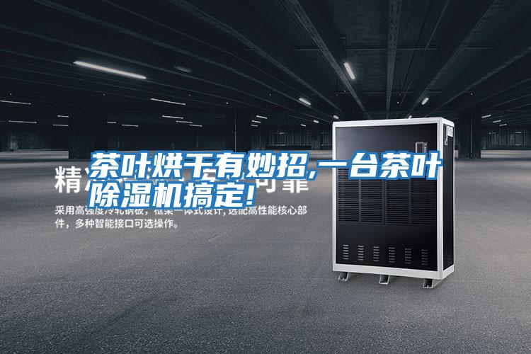 茶叶烘干有妙招,一台茶叶除湿机搞定!