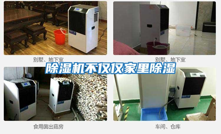 除湿机不仅仅家里除湿