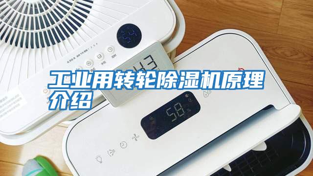 工业用转轮除湿机原理介绍