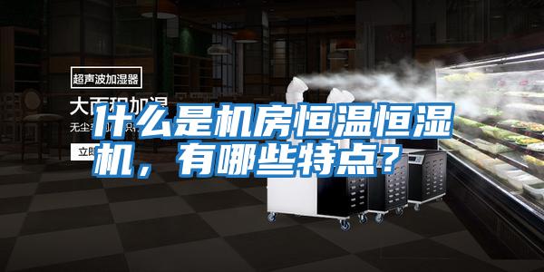 什么是机房恒温恒湿机，有哪些特点？