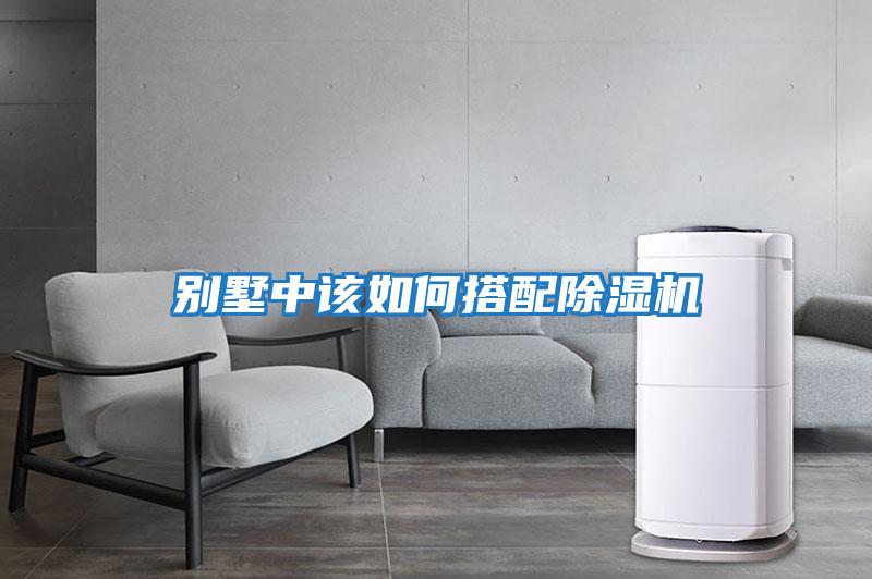别墅中该如何搭配除湿机