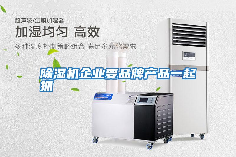 除湿机企业要品牌产品一起抓