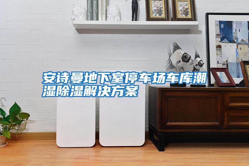 安诗曼地下室停车场车库潮湿除湿解决方案