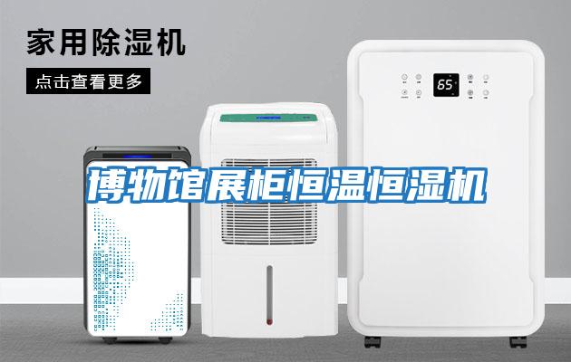 博物馆展柜恒温恒湿机