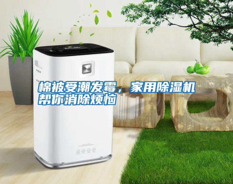 棉被受潮发霉，家用除湿机帮你消除烦恼