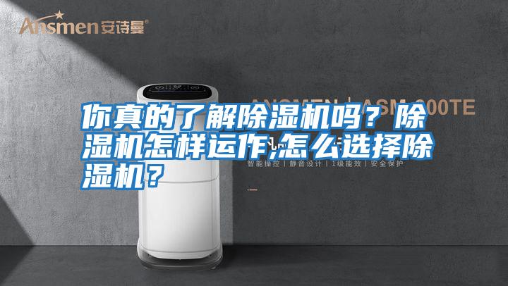 你真的了解除湿机吗?除湿机怎样运作,怎么选择除湿机?