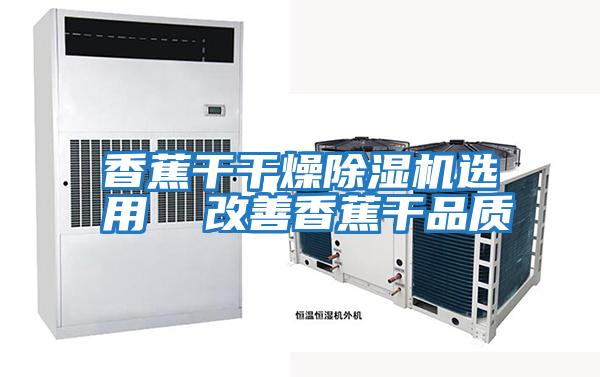 香蕉干干燥除湿机选用  改善香蕉干品质