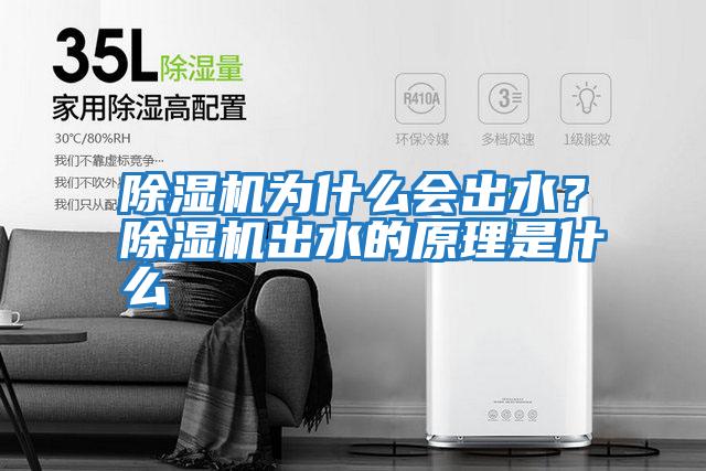 除湿机为什么会出水？除湿机出水的原理是什么