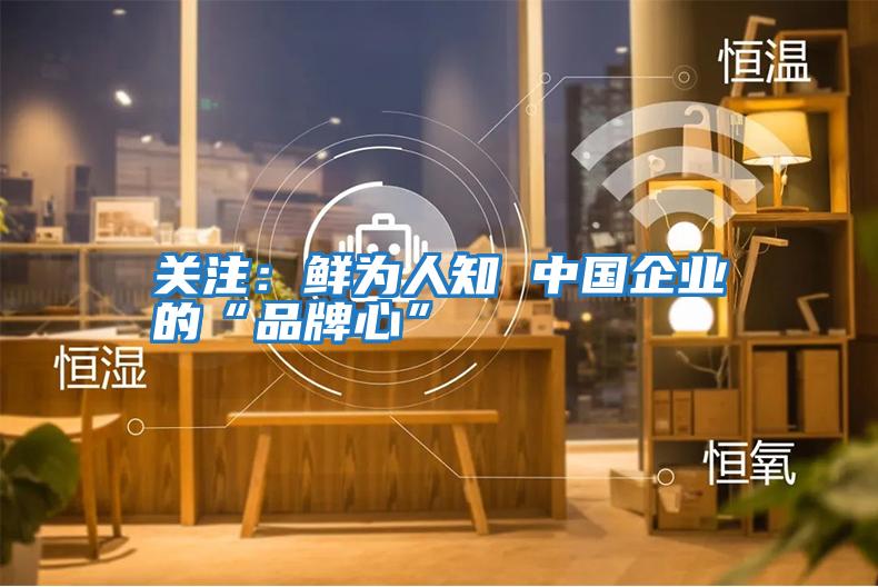 关注：鲜为人知 中国企业的“品牌心”