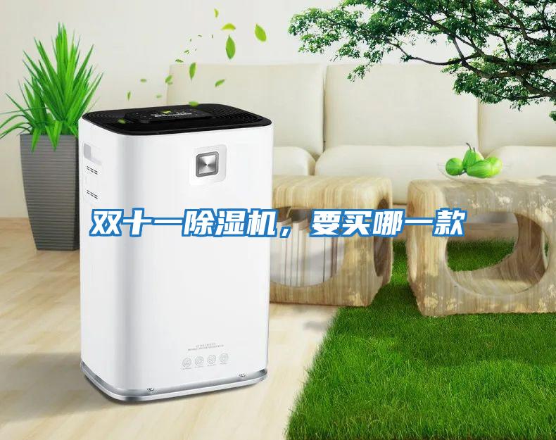 双十一除湿机，要买哪一款