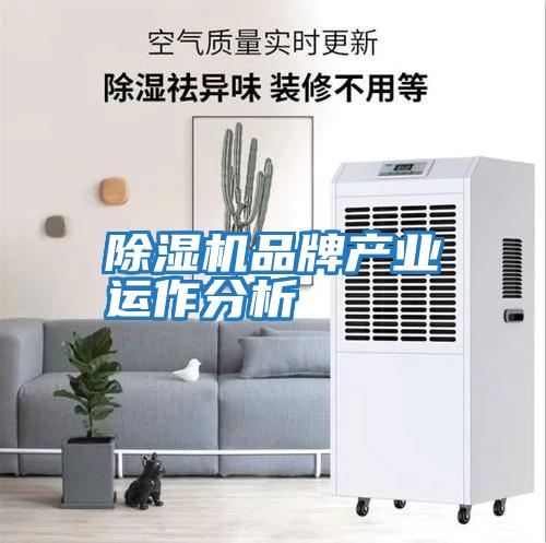 除湿机品牌产业运作分析