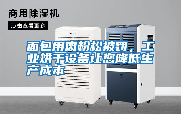 面包用肉粉松被罚，工业烘干设备让您降低生产成本