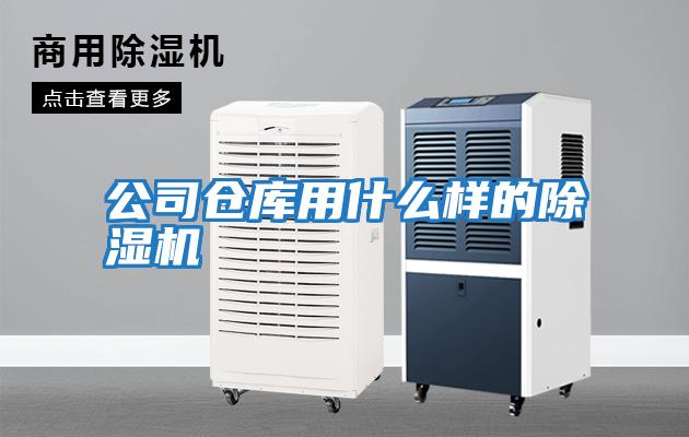 公司仓库用什么样的除湿机