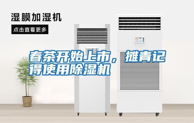 春茶开始上市,摊青记得使用除湿机