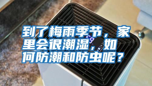 到了梅雨季节，家里会很潮湿，如何防潮和防虫呢？