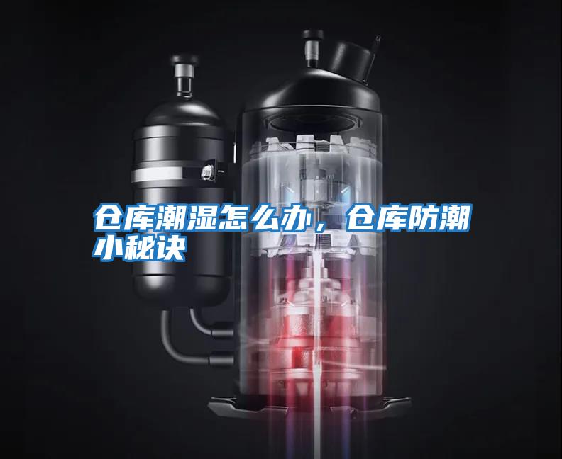 仓库潮湿怎么办，仓库防潮小秘诀