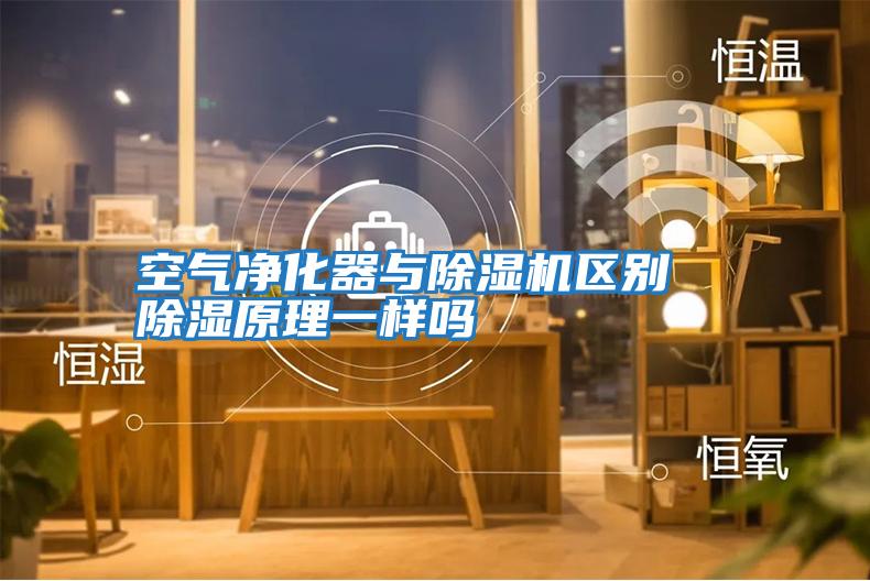 空气净化器与除湿机区别  除湿原理一样吗