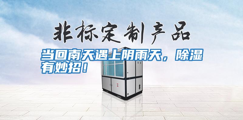 当回南天遇上阴雨天，除湿有妙招！
