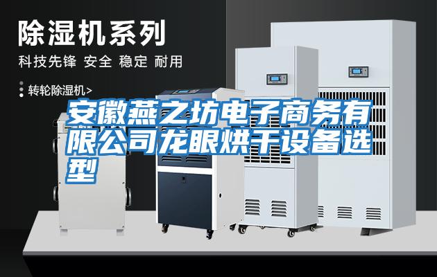安徽燕之坊电子商务有限公司龙眼烘干设备选型