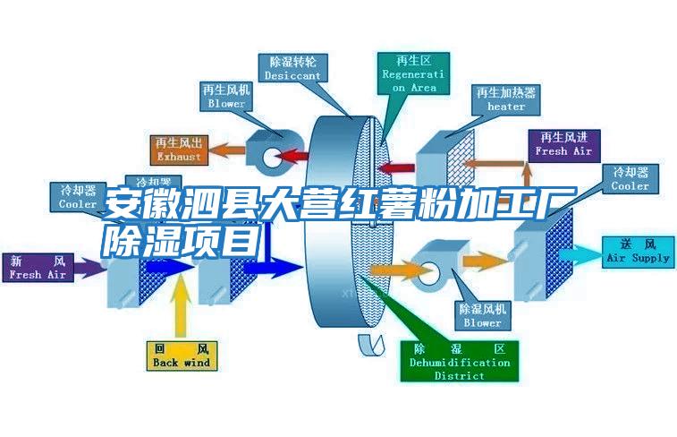 安徽泗县大营红薯粉加工厂除湿项目