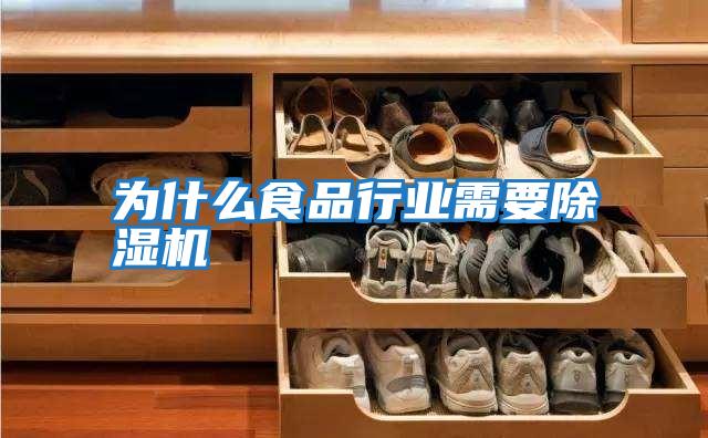 为什么食品行业需要除湿机