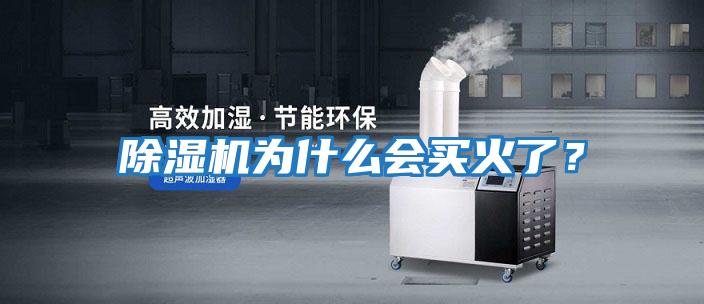 除湿机为什么会买火了？