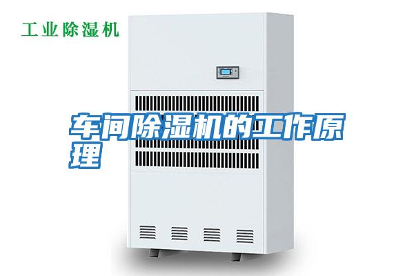 车间除湿机的工作原理