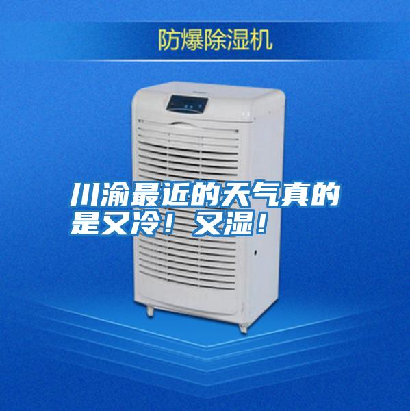 川渝最近的天气真的是又冷！又湿！