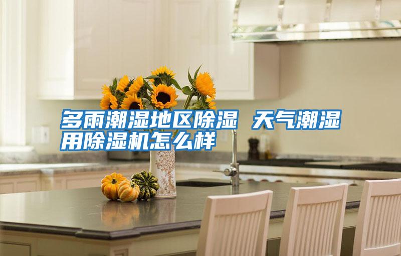 多雨潮湿地区除湿 天气潮湿用除湿机怎么样