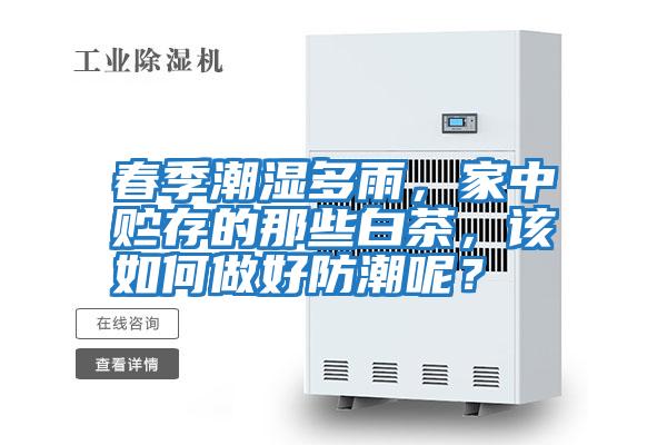 春季潮湿多雨，家中贮存的那些白茶，该如何做好防潮呢？