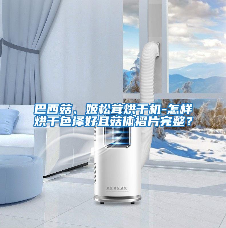 巴西菇、姬松茸烘干机-怎样烘干色泽好且菇体褶片完整？