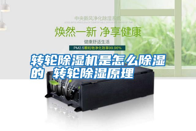 转轮除湿机是怎么除湿的 转轮除湿原理