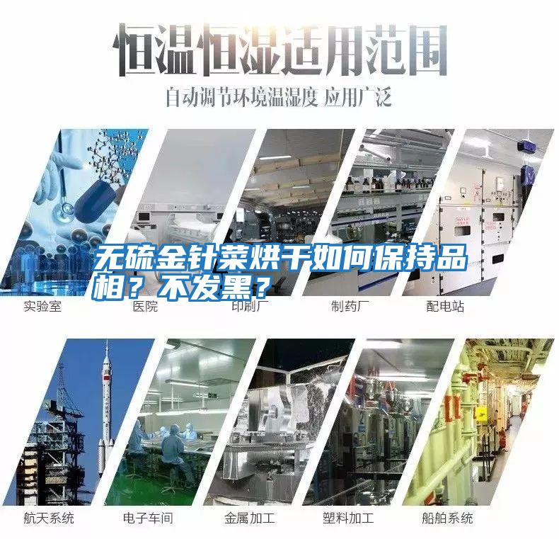 无硫金针菜烘干如何保持品相？不发黑？