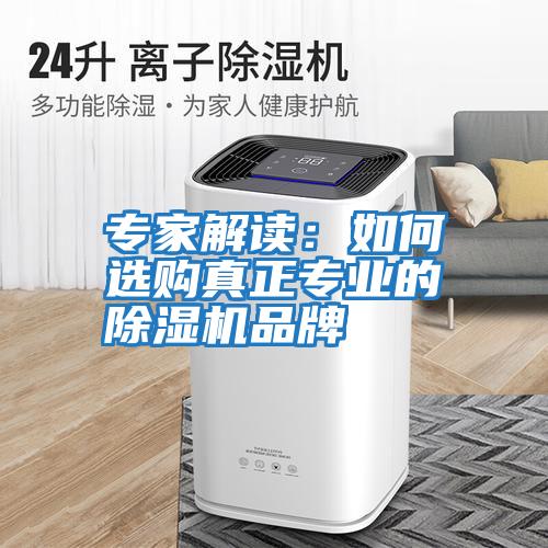 专家解读：如何选购真正专业的除湿机品牌