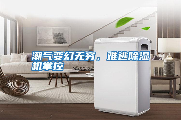 潮气变幻无穷，难逃除湿机掌控
