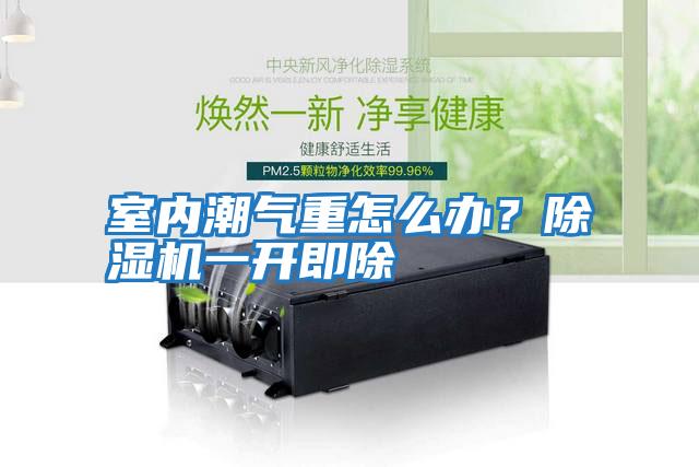 室内潮气重怎么办？除湿机一开即除