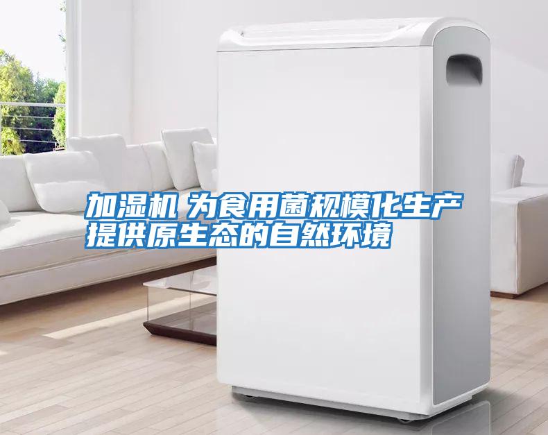 加湿机　为食用菌规模化生产提供原生态的自然环境