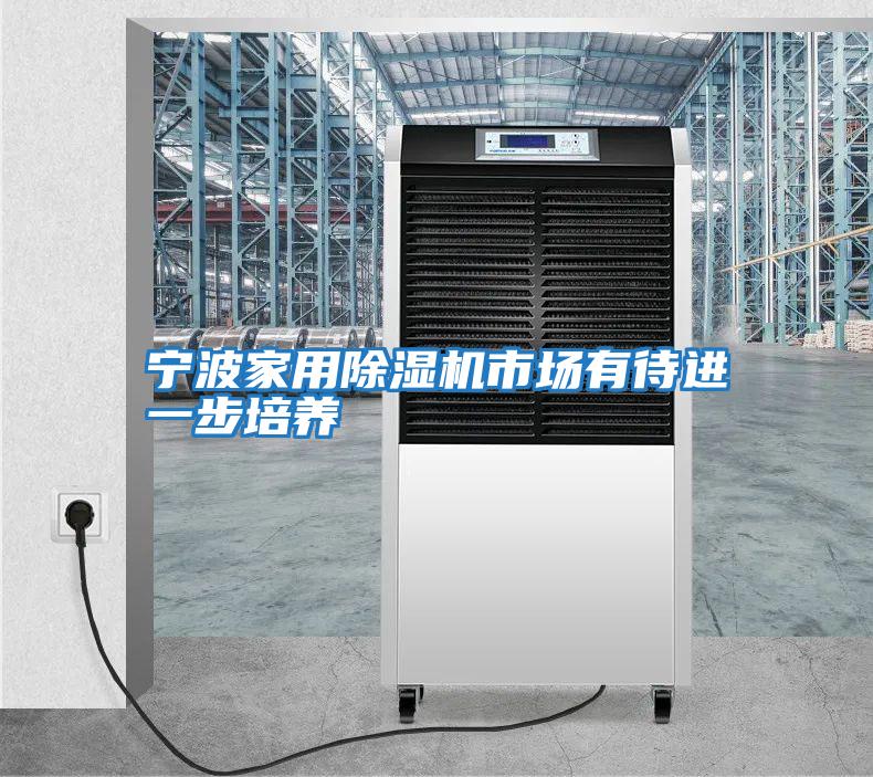宁波家用除湿机市场有待进一步培养