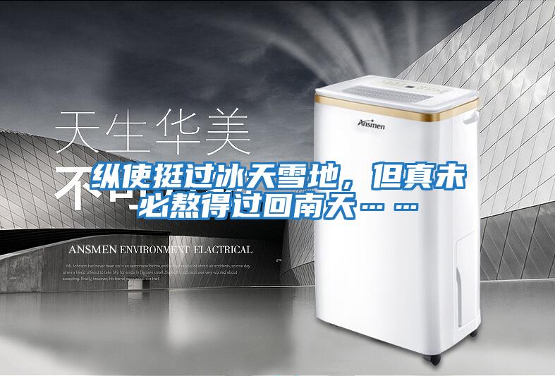 纵使挺过冰天雪地，但真未必熬得过回南天……