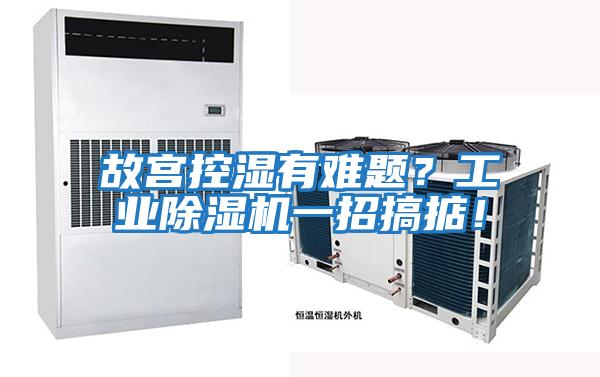 故宫控湿有难题？工业除湿机一招搞掂！