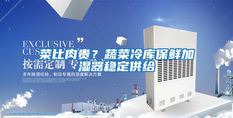 菜比肉贵？蔬菜冷库保鲜加湿器稳定供给
