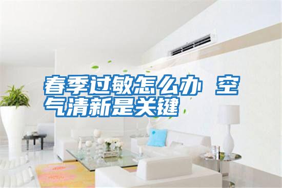 春季过敏怎么办 空气清新是关键