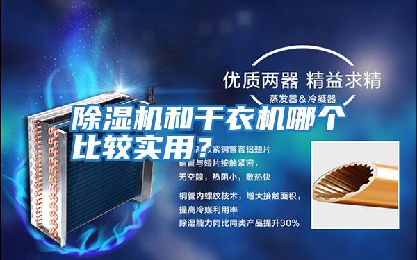 除湿机和干衣机哪个比较实用？